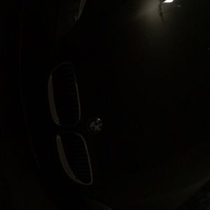 Meet your Posher, Alfredo